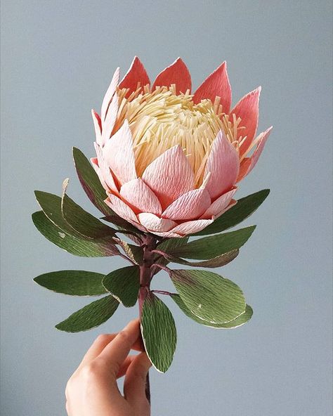 King protea 😍😍😍... so happy with this one! #paperflowers #paperprotea #paperart #paperartist #handpainted #handmade #kingprotea Lounge Mural, Crepe Flowers, Crepe Paper Crafts, Săpunuri Handmade, King Protea, Paper Flower Art, Protea Flower, Fleurs Diy, Paper Engineering