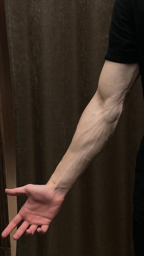 Arm Veins, Veiny Arms, Hand Veins, Arms And Abs, Male Pose Reference, Gentleman Aesthetic, Arm Art, Gym Outfit Men, Muscle Boy