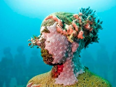 Art to help save coral reefs ... Jason Decaires Taylor, Underwater Sculpture, Artificial Reef, Artificial Coral, Underwater Art, Underwater Photographer, Sculpture Park, Sculpture Installation, Art 3d