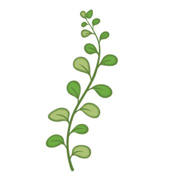 small leaf,green leaf,leaves,green,leaf,small fresh,plant,green leaves,greenery,frame,a green leaf,shading,plants,green plants,plant leaves,beautiful,decoration,a leaf,tropical plants,small fresh leaves,fresh,nature,green plant,tropical,texture,spring,decorative,cartoon illustration,leaf illustration,palm leaves,plant decoration,elegant,decorative pattern,leaf border,one piece,tree,growing,trees,flower,cartoon,leaves of green plants,dynamic,plant branches,grow,potted plants,small potted plants,p Leaf Shading, Door Paintings, Cartoon Leaves, Leaves Cartoon, Palm Leaf Plant, Cartoon Leaf, Bird Outline, Growing Trees, Flower Cartoon