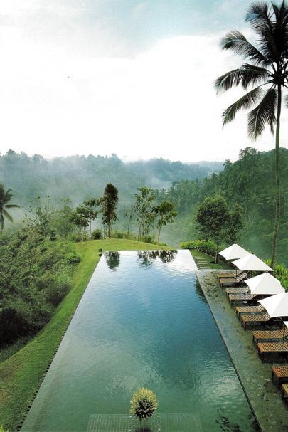 Kolam Koi, Amazing Swimming Pools, Infinity Pools, Bali Resort, Luxury Swimming Pools, Cool Swimming Pools, Luxury Pools, Dream Pools, Indoor Swimming Pools