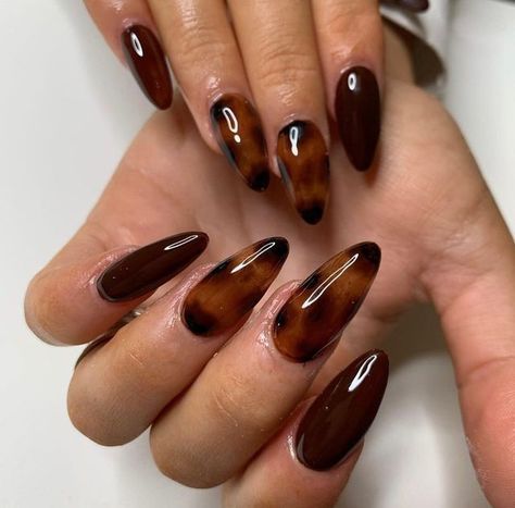 Nail Tortoise Shell, Fall Nail Designs Tortoise, Hailey Bieber Tortoise Nails, Tortieshell Nails, Tortoise Shell Tip Nails, Tortishell Nails Design Almond, Black And Tortoise Nails, Tortoise Nails Almond, Tortoise Nail Design