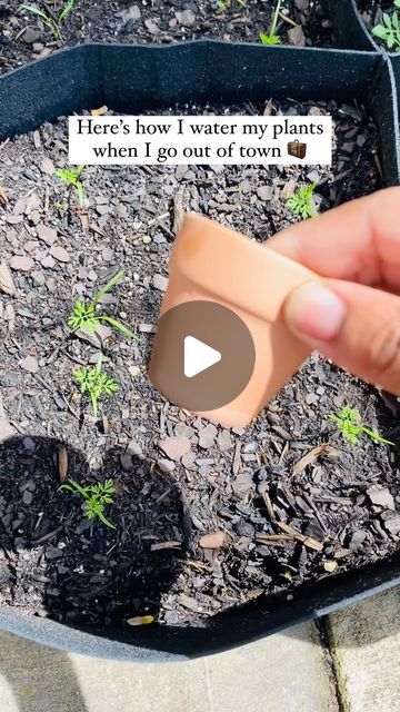 Garden Self Watering System, Self Watering System, How To Make Self Watering Pots, Terra Cotta Watering System, Watering System For Potted Plants, Terra Cotta Herb Garden, How To Reuse Potting Soil, Terracotta Pot Watering System, How To Plant In Pots Without Drainage Holes