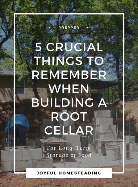 5 Things To Remember When Building a Root Cellar Building A Root Cellar, Root Cellar Plans, Root Cellar Storage, Root Cellar, Storm Shelter, Homesteading Skills, Greenhouse Plans, Cold Room, Backyard Farming