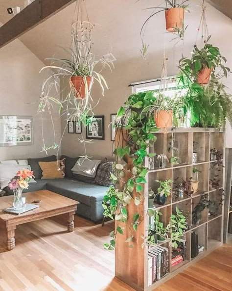 Plant Divider, Game Room Ideas, Divider Ideas, Studio Apartment Living, Small Couch, First Apartment Decorating, Future Apartment Decor, House Plants Decor, Small Balcony Ideas