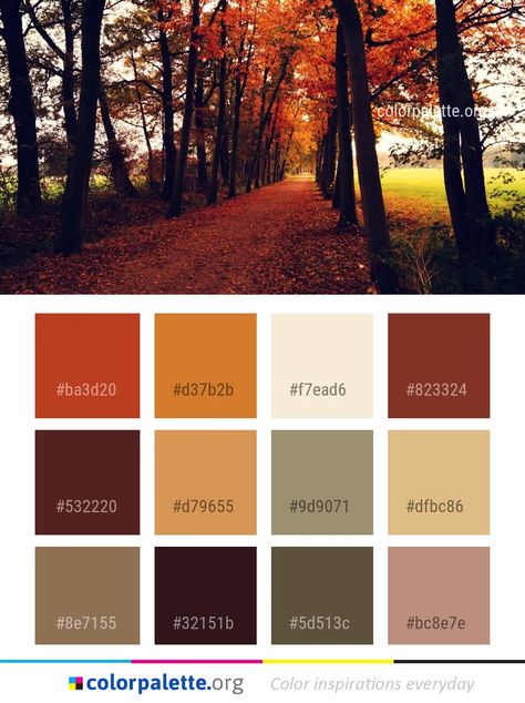 Rustic Color Palettes, Autumn Color Palette, House Color Palettes, Color Schemes Colour Palettes, Nature Color Palette, Fall Color Palette, Rustic Colors, Color Palette Design, Colour Schemes