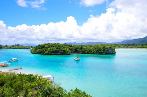 Ishigaki Island: 10 Best Things to Do 2020 - Japan Web Magazine Ishigaki Island, Luxury Island, Summer Travel Destinations, Uninhabited Island, Ishigaki, Tourist Sites, Green Ocean, Hidden Beach, Remote Island