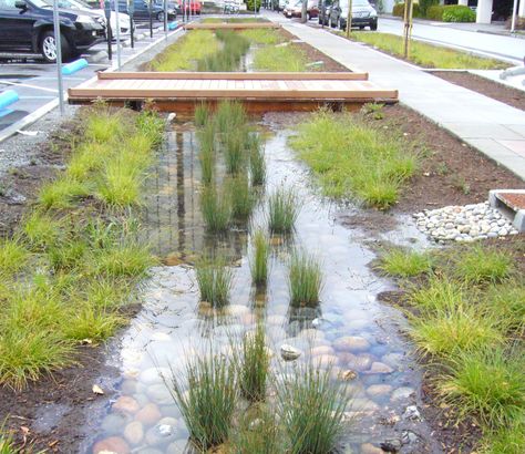 Rain Garden Design, Landscape Architecture Plan, Eco City, Water Management, Rain Garden, Parking Design, Reggio Emilia, Water Design, Urban Landscape