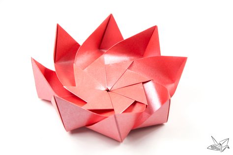 Modular Origami Lotus Flower with 8 Petals – Tutorial Origami Instructions Easy, Lotus Origami, Origami Instructions For Kids, Origami Flower Bouquet, Origami Lotus, Paper Origami Flowers, Origami Lotus Flower, Easy Origami Flower, Origami Flowers Tutorial