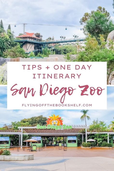 San Diego Outfits Summer Vacation, Summer San Diego Outfits, Visiting San Diego, San Diego Zoo Tips, San Diego Vacation Outfits, Outfit For Zoo Trip, Outfits For San Diego, San Diego Aesthetic Outfits, San Diego In March