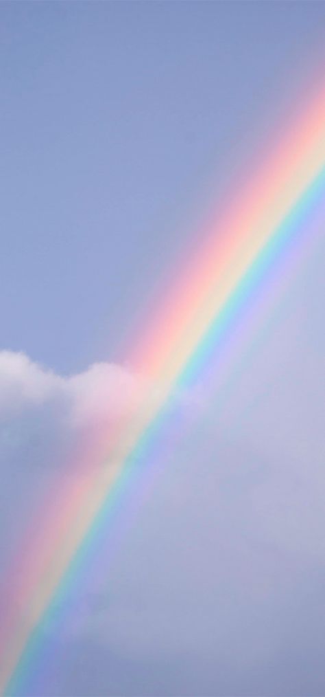 Real Rainbow Wallpaper, Photo Widget, Rainbow Photo, Sky Full, Rainbow Aesthetic, Gradient Background, Rainbow Wallpaper, Instagram Theme, Anime Scenery Wallpaper