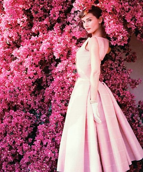 Margaret Russell on Instagram: “Seeking beauty on a rainy Sunday. So pretty! #audreyhepburn #pink #flowers #thinkpink” Sabrina Audrey Hepburn, Audrey Hepburn Drawing, Audrey Hepburn Wallpaper, Audrey Hepburn Makeup, Audrey Hepburn Pixie, Audrey Hepburn Hair, Audrey Hepburn Costume, Audrey Hepburn Outfit, Audrey Hepburn Roman Holiday