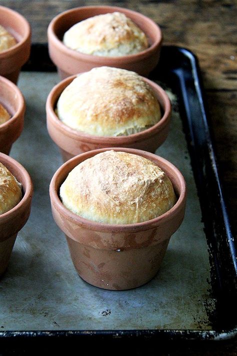 Bread baked in a flowerpot. Brushed with butter, sprinkled with sea salt, does anything say, "I love you Mom!" more than this flower pot bread? // alexandracooks.com Peasant Bread, Bread Shop, Westport Ct, Bread Toast, Loaf Of Bread, Bread Mix, Bread Recipes Homemade, Bread Rolls, Bread Dough