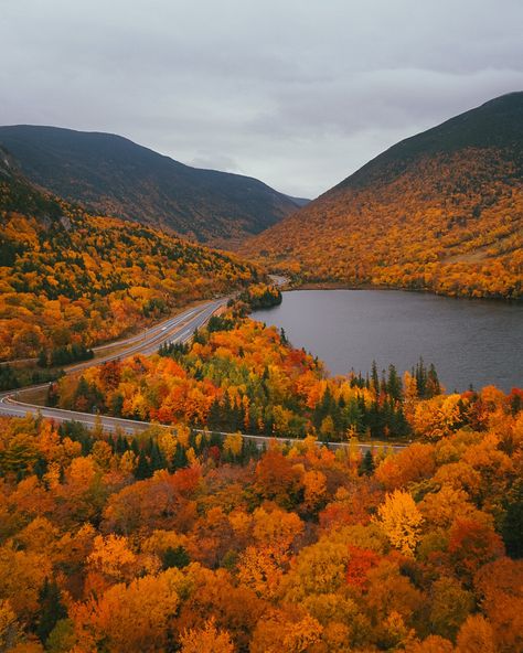 fall in new england 🍂 Fall New England, New England Autumn, New England Winter, Fall In New England, New England Aesthetic, England Winter, Maine New England, Orange Trees, New England Road Trip