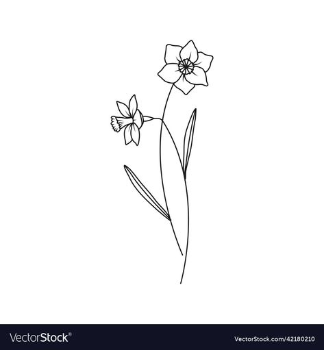 Birth Month Flower December, Narcissus Drawing Simple, Narcissus Flower Tattoo Minimalist, Narcissus Flower Drawing Simple, December Birth Flower Drawing, June And December Birth Flower Tattoo, Narcissus Flower Tattoo Design, December Birth Flower Tattoo Narcissus And Holly, December Flower Drawing