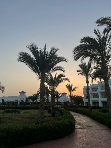 #aesthetic #egypt #vacation #tramonto #sunset #nature #travel #travelpic Aesthetic Egypt, Marsa Alam Egypt, Egypt Vacation, Marsa Alam, Holiday Inspo, Sunset Nature, Pretty Places, Nature Travel, Egypt