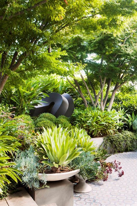 Melbourne Garden, Tropical Garden Design, Australian Garden, Luxury Garden, Native Garden, Garden Landscape Design, Garden House, Tropical Landscaping, Courtyard Garden