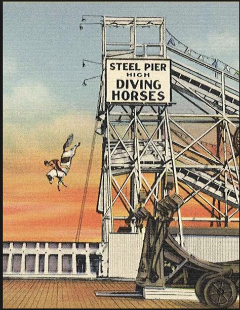 Diving Horse Atlantic City Horse Diving, Circus Tricks, High Diving, Pinball Art, Pier 39, Primary Sources, Jersey Girl, Horse Blankets, Vintage Horse