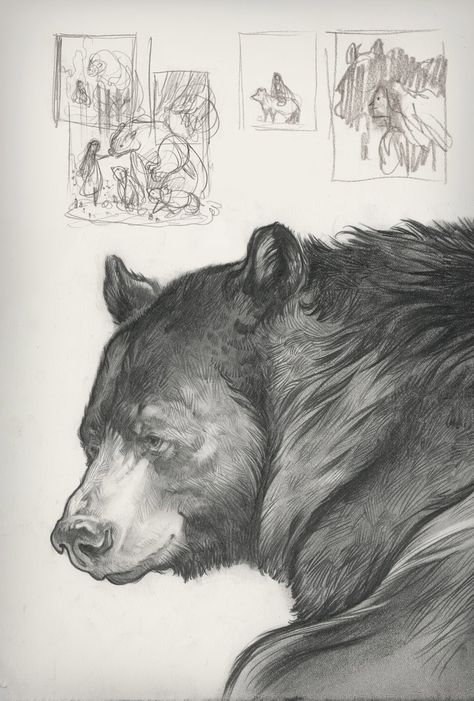 Bear Sketch, 동화 삽화, Bear Drawing, Arte Sketchbook, Arte Inspo, Bear Art, Animal Sketches, Arte Animal, Charcoal Drawing