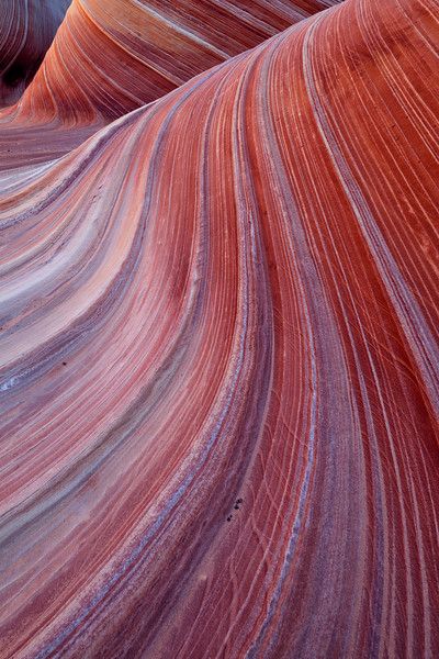 Nature, The Wave Arizona, Coyote Buttes, Desert Boho, Wave Rock, Painted Desert, Natural Structures, Nature Photographer, Texture Photography