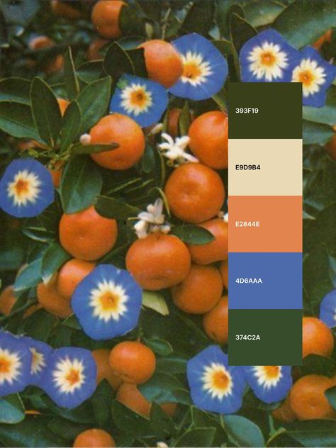 Colour Palette With Forest Green, Cream Orange Color Palette, Flower Colour Scheme, Green And Orange Pallet, Green And Blue Home Aesthetic, Blue Green Orange Yellow Color Palette, Green Orange Brown Wedding, Clementine Color Palette, Green Orange Tan Color Palette