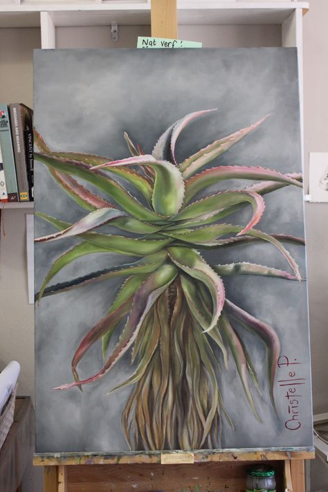 www.christellepretoriusart.co.za Aloe Art, Canvas Painting Projects, Painting Realistic, Succulent Painting, Cactus Art, Plant Painting, Art Green, Oil Painting Flowers, Botanical Drawings