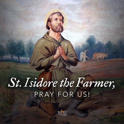 St. Isidore the farmer, model of simplicity and faith, pray for us!  #Catholic #pray #saintoftheday #prayforus #StIsidore St Isidore The Farmer, Farmer Quotes, Giving Thanks To God, Saint Quotes Catholic, Saint Quotes, The Farmer, Catholic Prayers, Pray For Us, Blessed Mother