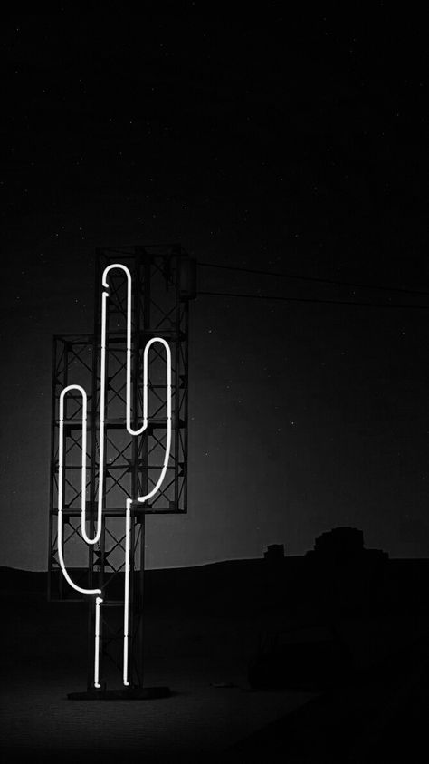 neon cactus Dark Cactus Wallpaper, Dark Western Wallpaper Iphone, Black Cactus Wallpaper, Old Western Aesthetic Wallpaper, Texas Wallpaper Aesthetic, Neon Sign Wallpaper Iphone, Neon Lights Aesthetic Wallpaper, Green Western Aesthetic, Texas Aesthetic Wallpaper