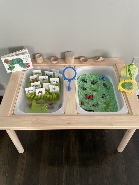 Bugs
Sensory
Montessori Ikea Flisat Table, Kids Sensory Activities, Toddler Sensory Bins, Baby Sensory Play, Ikea Table, Sensory Crafts, Sensory Activities Toddlers, Baby Play Activities, Montessori Toddler Activities