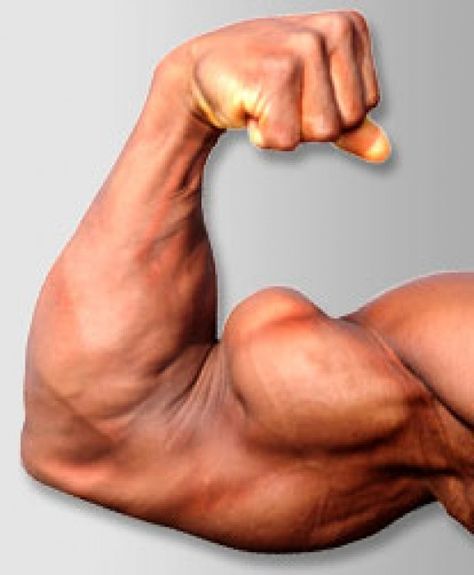 Hidden secrets professionals use to develop BIG ARMS! Triceps, biceps, and forearms make up the arms. Pump hard to get maximum results. Big Biceps Workout, Best Biceps, Bicep And Tricep Workout, Bicep Muscle, Big Biceps, How To Get Bigger, Bigger Arms, Compound Exercises, Biceps And Triceps