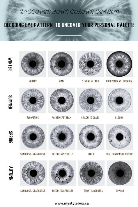 Decoding Eye Pattern to Uncover Your Personal Colour Palette Eye Season Iridology, Iris Patterns Eye, Summer Eye Pattern Color Analysis, Summer Eye Patterns, Seasonal Eye Patterns, Spring Eye Pattern Color Analysis, Winter Eye Pattern Color Analysis, Color Season Eye Pattern, Color Analysis Tools Msfrizzleart