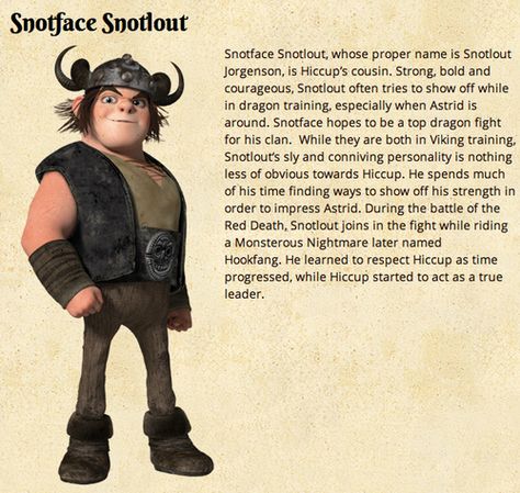 Yes, um, way to go Snotlout. Httyd Snotlout, Snotlout Jorgenson, Dreamworks Art, Princess Makeover, Httyd 3, Disney Princess Makeover, Dreamworks Movies, Dragon Rider, Way To Go