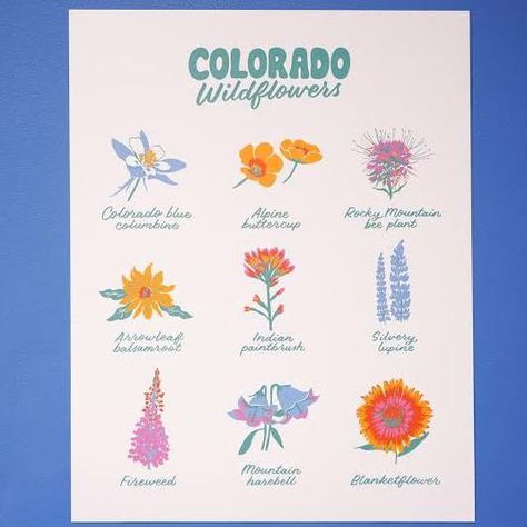 Colorado Wildflowers, Guerrilla Gardening, Wildflower Drawing, Beagle Art, Wildflower Tattoo, Doodle Books, Indian Paintbrush, Bakery Logo, Hat Ideas