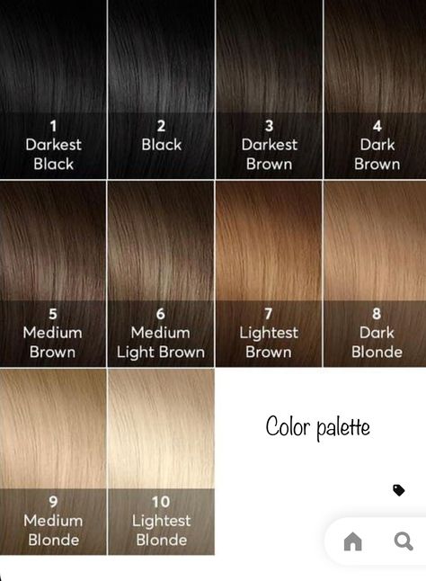 Level 6 Hair Color Brown, Level 4 Hair Color, Brown Hair Levels, Level 6 Hair, Levels Of Hair Color, Level 6 Hair Color, Level 7 Hair Color, Lighter Brown Hair, Brown Hair Color Chart