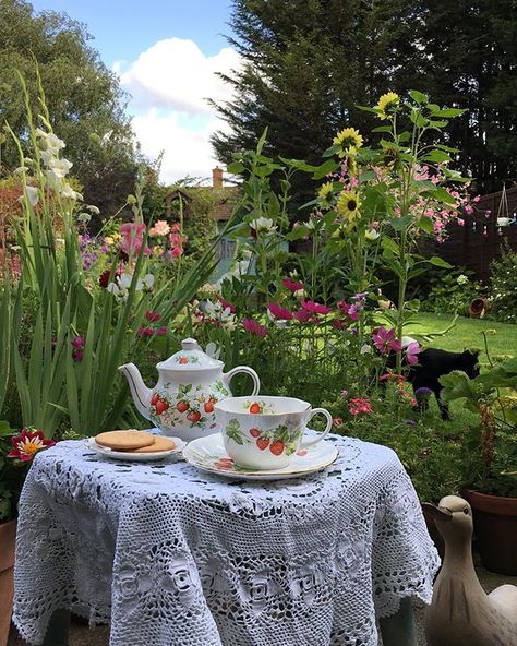 Have a lovely evening everyone 💗🎀It’s a bit blustery here but I’m enjoying the evening outside ☕️💗💕 Have A Lovely Evening, Rose Fairy, Fairytale Cottage, 29th Birthday, Garden Shed, High Tea, The Pink, Pink Rose, The Garden