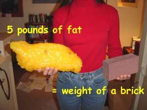 5lb-fat-brick http://luannhoskins.myplexusproducts.com/ 5 Lbs Of Fat, Lose 5 Pounds, Lose 15 Pounds, Pound Of Fat, Lose 30 Pounds, Lose Pounds, Fat Loss Diet, Small Meals, Calorie Intake