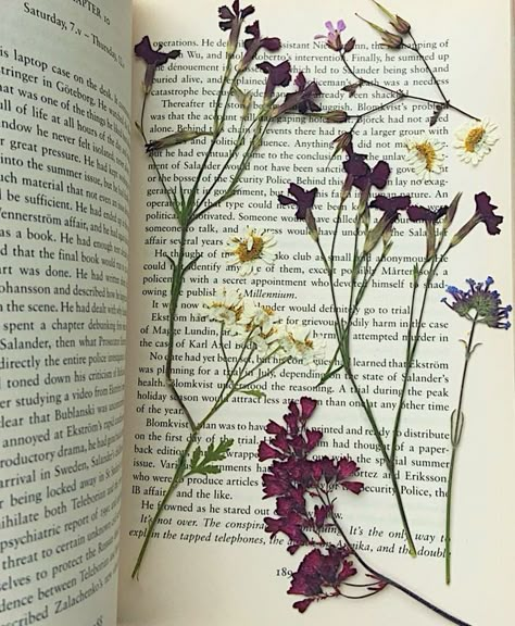 Flowers Pressed In Book, Flowers Books Aesthetic, Dry Flowers In Book, Book Dried Flowers, Pressed Flowers In Books, Book Flowers Aesthetic, Pressing Flowers In Books, Flower Journal Aesthetic, Zoe Aesthetic Core