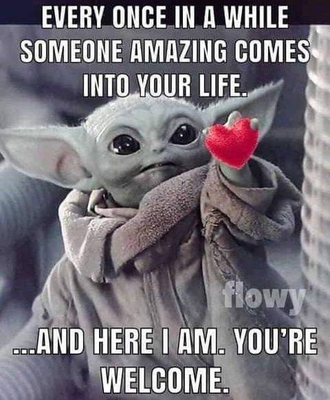 Saturday Morning Quotes Funny Hilarious Humor, Journal Key, Yoda Quotes, Yoda Images, Happy Day Quotes, Funny Day Quotes, Yoda Funny, Relationship Stuff, Humor Hilarious