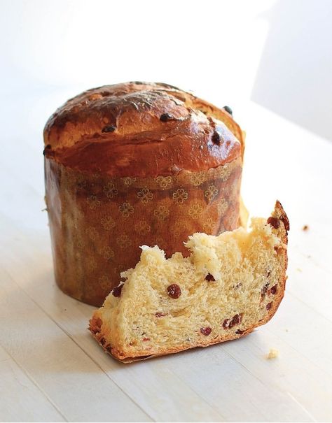 Panatone Recipes, Emma Goodies, Panatone Bread, Traditional Panettone Recipe, Sugar Free Fruit Cake, Easy Panettone Recipe, Emma's Goodies, Panettone Cake, Raised Donuts