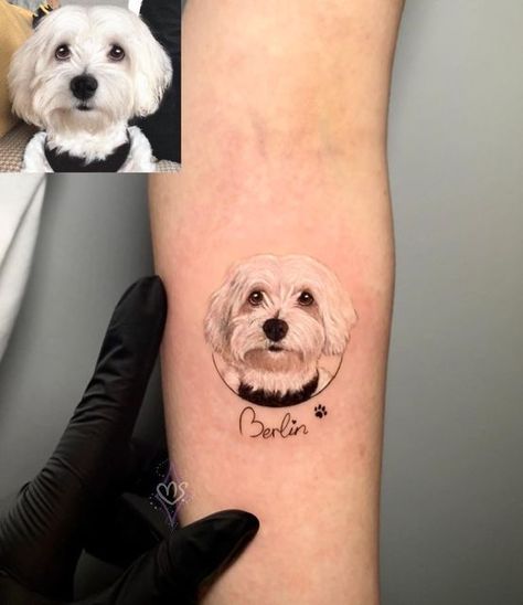 Tattoo About Dogs, Yorkie Face Tattoo, Maltese Dog Tattoo Ideas, Blackwork Dog Tattoo, Tato Dog, Dog Tattoo Portrait, Small Dog Tattoo Ideas, Dog Tattoos For Women, Unique Dog Tattoo Ideas