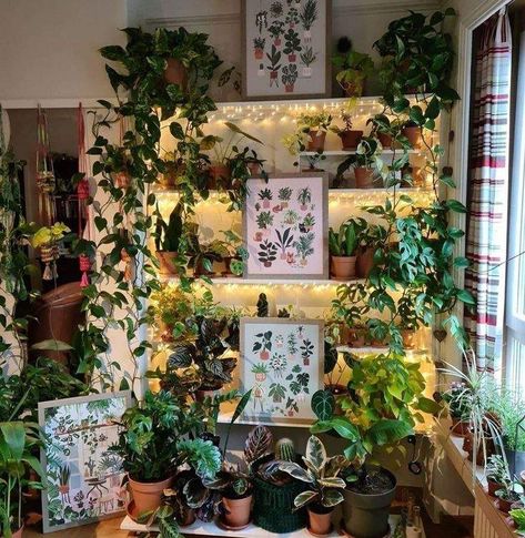 Room Full Of Plants, House Full Of Plants, China Cabinet Decor, Plant Inspiration, Hippie House, Plant Store, Plant Goals, Plant Care Houseplant, Plant Aesthetic