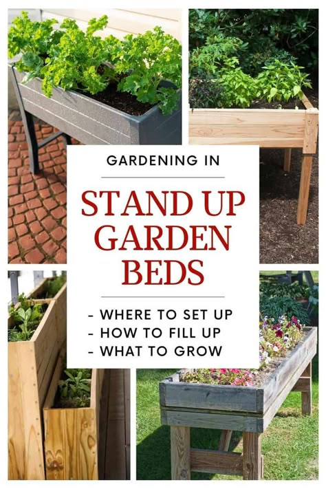 Above Ground Veggie Garden, Veggie Garden Planter Boxes, Raised Planter Garden Layout, Above Ground Herb Garden, Planter Box Garden Layout, Above Ground Flower Bed Ideas, Garden Boxes Raised Layout, Above Ground Garden Ideas, Above Ground Vegetable Garden