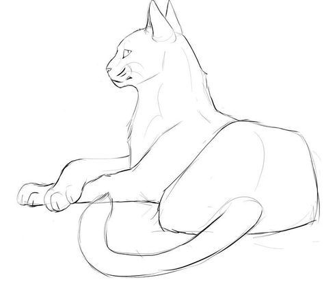 Cat Base Drawing Sketch, Cat Art Tutorials, Cat Base Reference, How To Draw Warrior Cats Tutorials, Cat Drawing Poses, Cat Art Reference, Cat Base Drawing, Cat Poses Drawing Reference, Cat Perspective