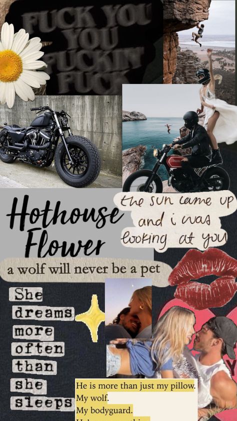 Hothouse flowers #wallpaper #hothouseflower #booksaesthetic #callowaysisters #rykemeadows #daisycalloway Hothouse Flower, Hot House, Addicted Series, Flowers Wallpaper, Flower Aesthetic, Create Collage, Creative Play, Your Aesthetic, Connect With People