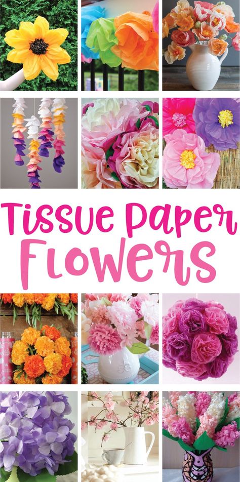 12 tissue paper flowers Tissue Paper Crafts, Tissue Paper Decorations, Paper Flowers Diy Easy, Tissue Flowers, Fleurs Diy, Easy Paper Flowers, Paper Flower Decor, Paper Flower Crafts, Crepe Paper Flowers