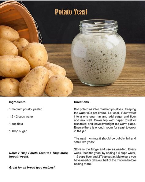 Potato Yeast, Potato Water, Yeast Starter, Dough Starter, Bread Starter, Sourdough Starter Recipe, Yeast Bread, Starters Recipes, Sourdough Recipes