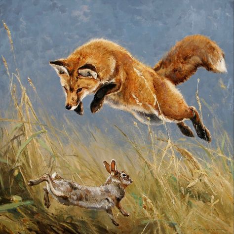 WILDLIFE ART: Painting of a fox hunting a cottontail rabbit by artist Luke Frazier. Red Fox Art, Cottontail Rabbit, Hunting Painting, North American Wildlife, Fox Images, Hunting Art, Deer Painting, Fox Pictures, Wildlife Artwork