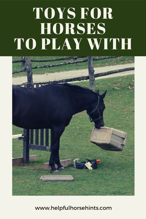 Bored Horse Toys Diy, Homemade Horse Toys, Horse Pasture Enrichment, Horse Enrichment Ideas Diy, Fun Things To Do With Horses, Toys For Donkeys, Diy Horse Enrichment, Diy Toys For Horses, Diy Horse Toys For Horses