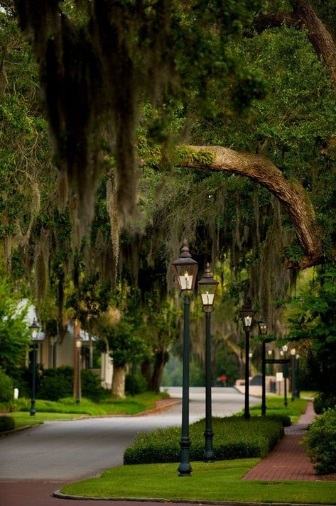 Beautiful Neighborhoods Street, Montage Palmetto Bluff, Picturesque Landscape, Pathway Landscaping, Palmetto Bluff, Southern Cities, Pond Design, Casa Exterior, Garden Park