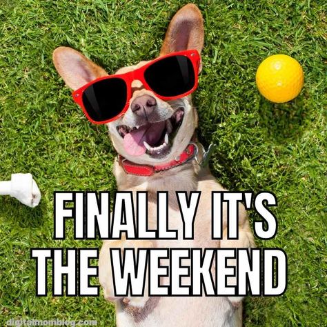 finally its the weekend meme Happy Weekend Meme, Weekend Memes Funny, Resell Business, Pet Passing, Weekend Meme, Saturday Memes, Weekend Funny, Meme Names, Its The Weekend